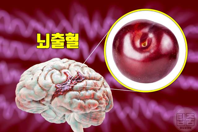 자두 효능 고혈압 뇌졸중 자두하루섭취량 자두부작용