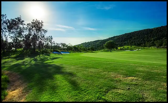 파크골프 용어 정리 (+ 해설 )