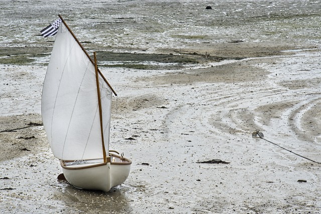 쭈꾸미 낚시 (금어기&amp;#44; 출조포인트&amp;#44; 선사 정보)