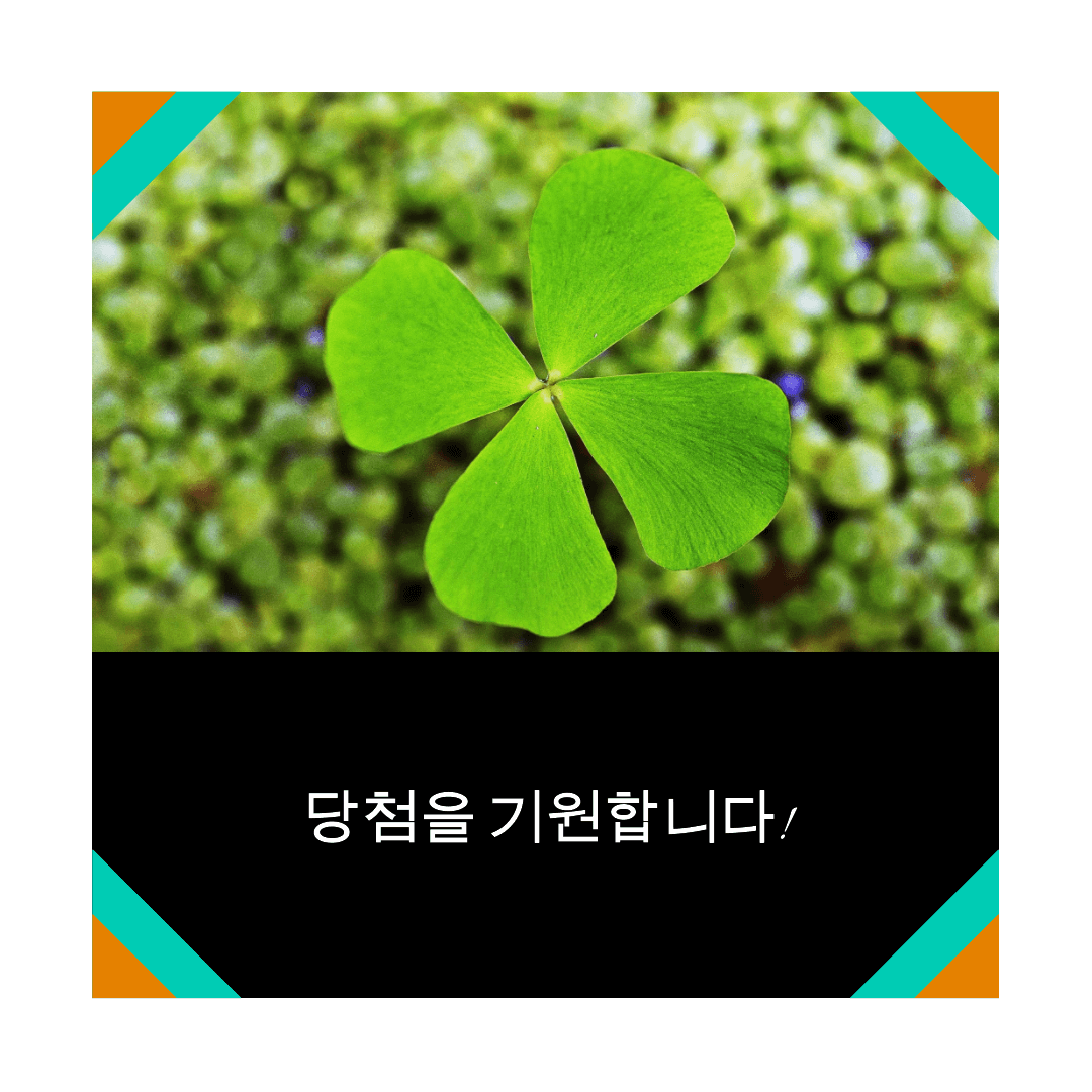 1094회 로또 당첨 번호 조회 및 1095회 당첨 번호 무료 추천