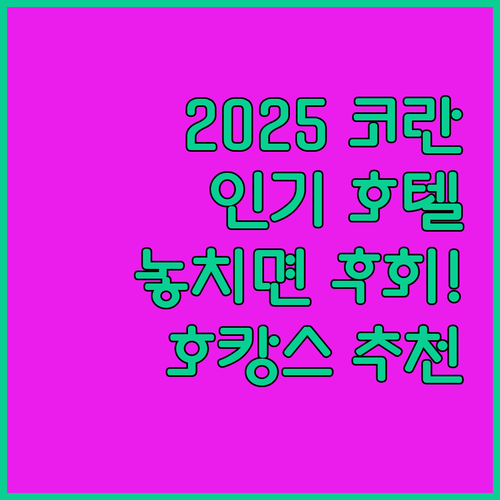 2025년 코란 여행, 놓치면 후회할..