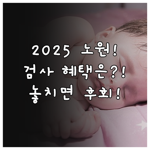 2025년 노원구 임신 초기 혈액 검..