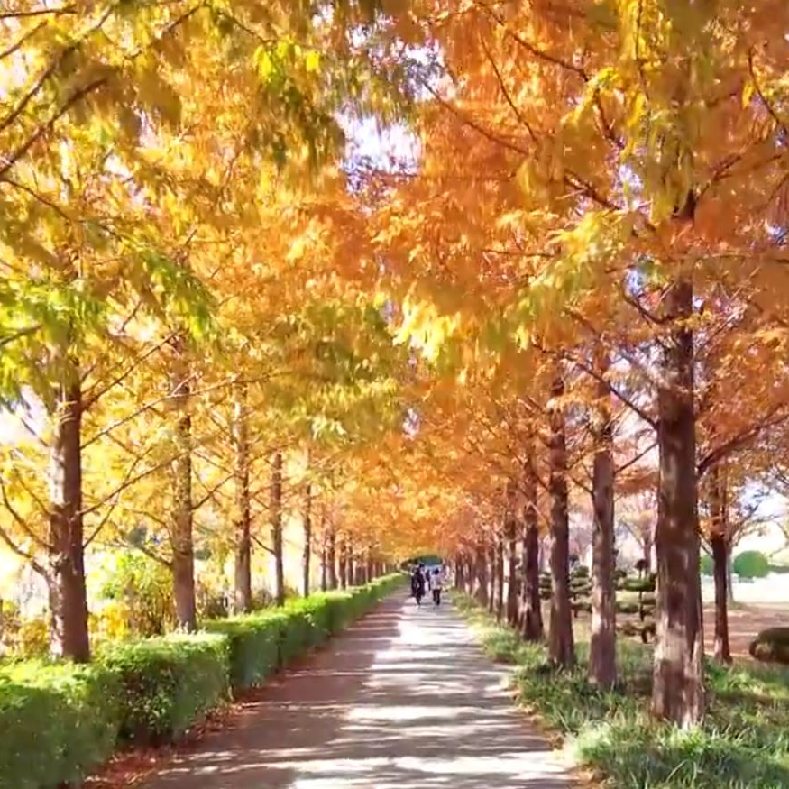 UN기념공원