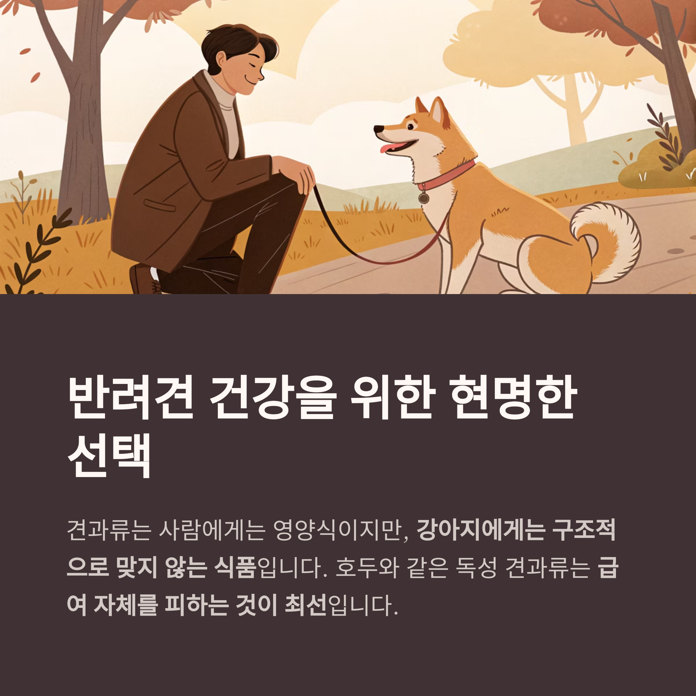 반려견 건강을 위한 현명한 선택
