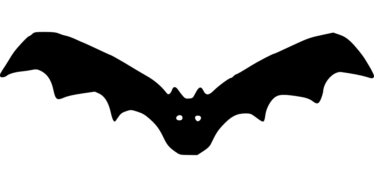 백악관 코로나19 중국 우한 실험실 유출설 공식화