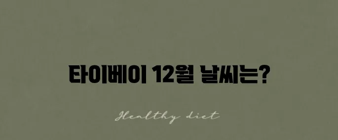 12월 타이베이 여행을 위한 대만 날씨와 옷차림 후기입니다.