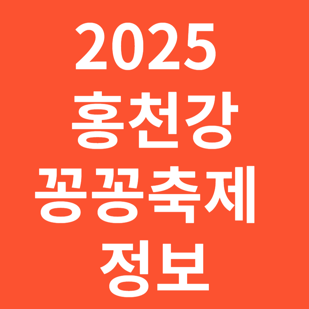 2025 홍천강 꽁꽁축제