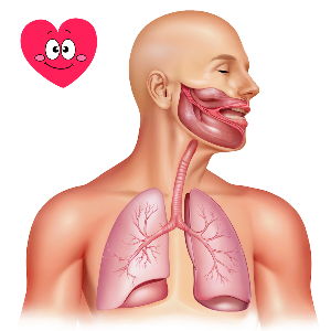 단기간에 혈압 낮추는 법