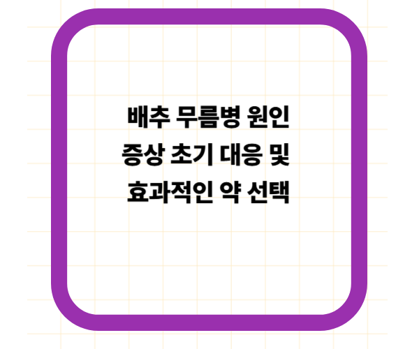 배추 무름병 원인 증상 초기 대응 및 효과적인 약 선택