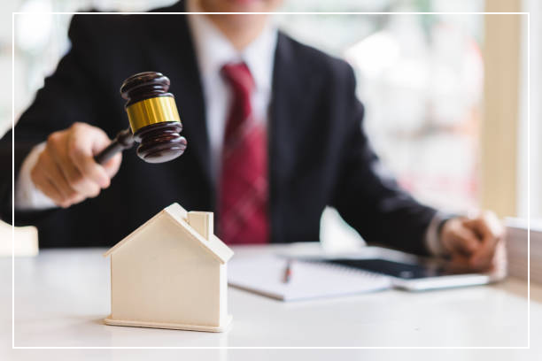 전세사기 특별법