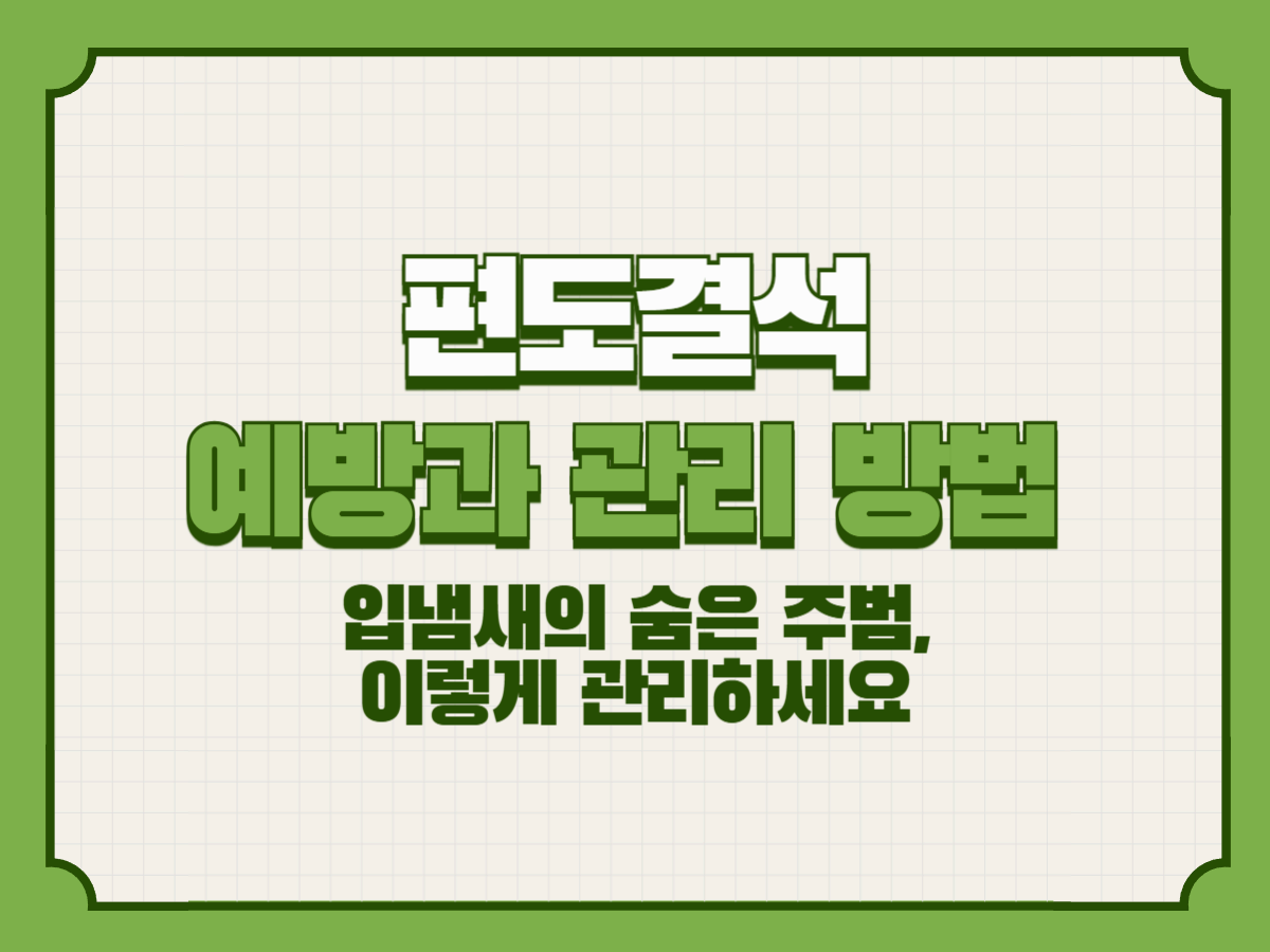 편도결석 예방과 관리 방법 – 입냄새의 숨은 주범, 이렇게 관리하세요