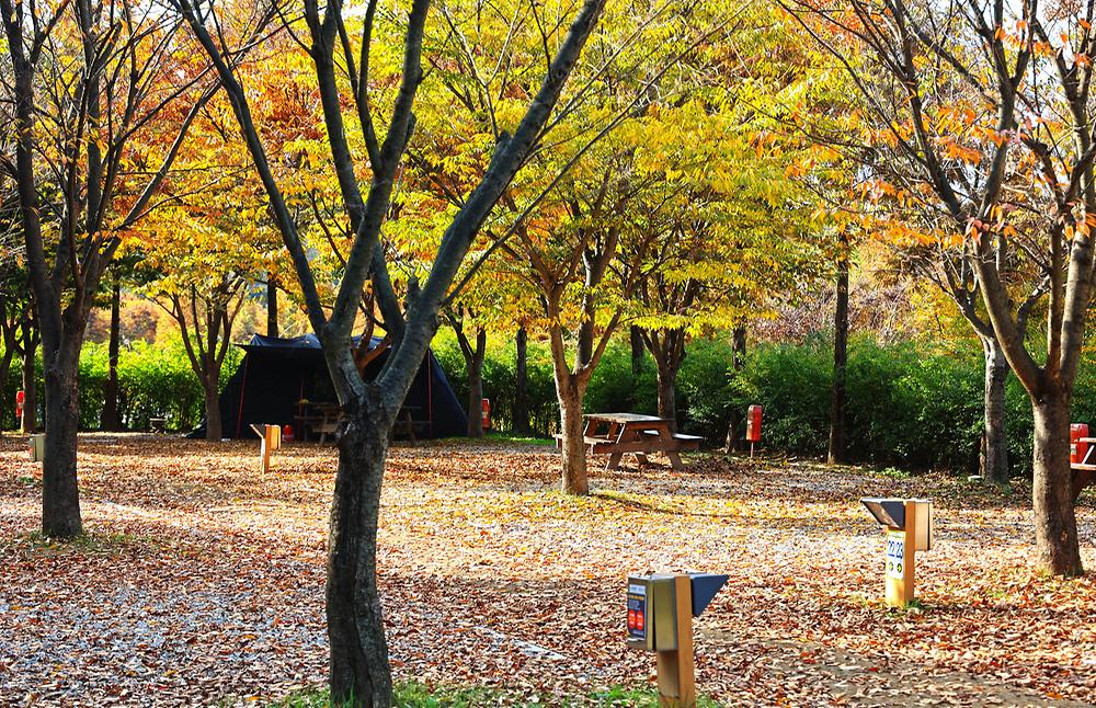 경기도 안성맞춤캠핑장 소개