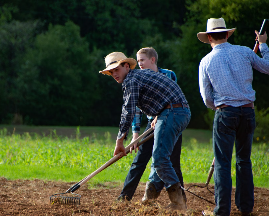 근로자의 날 대체 휴무 근무수당