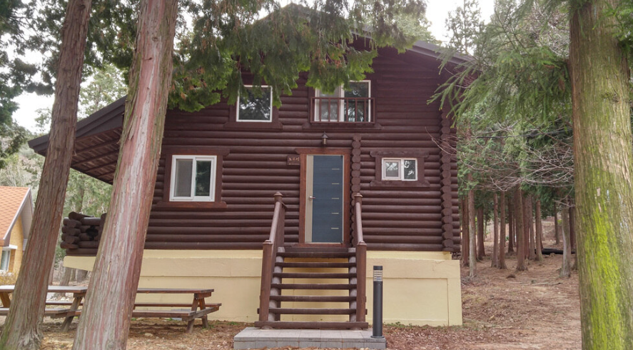 편백자연휴양림 