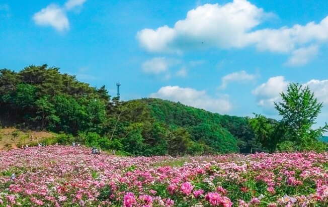 임실 가볼만한곳 베스트 10