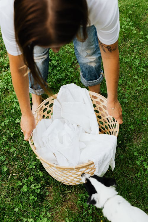 반려동물 침대·방석 세탁 주기