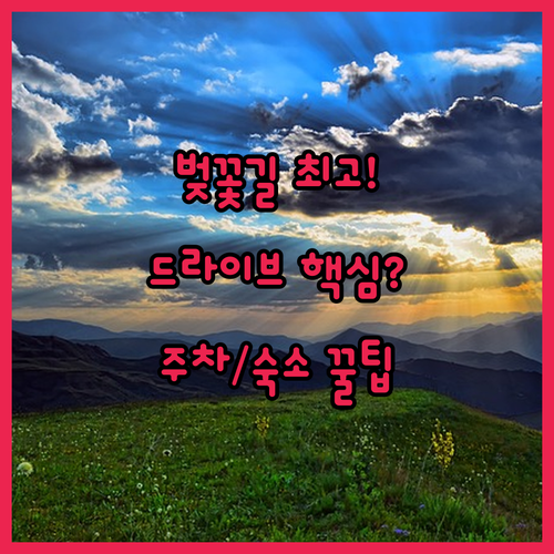 김포여객터미널 아라뱃길 벚꽃길 드라이..