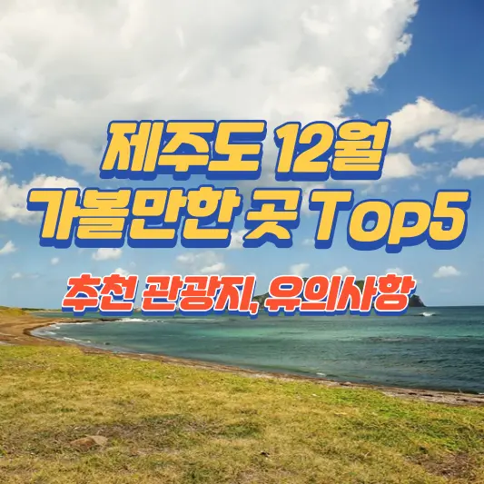 제주도 12월 가볼만한 곳