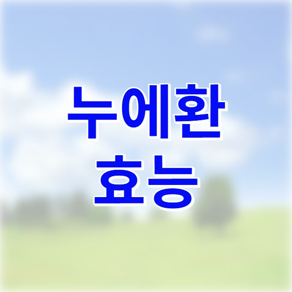 누에환 효능