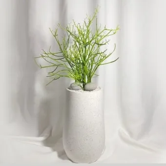 집들이 선물 식물추천 키우기쉬운 종류 물주기 빛관리 가이드_6