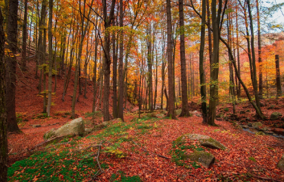 계절별 면역 관리법