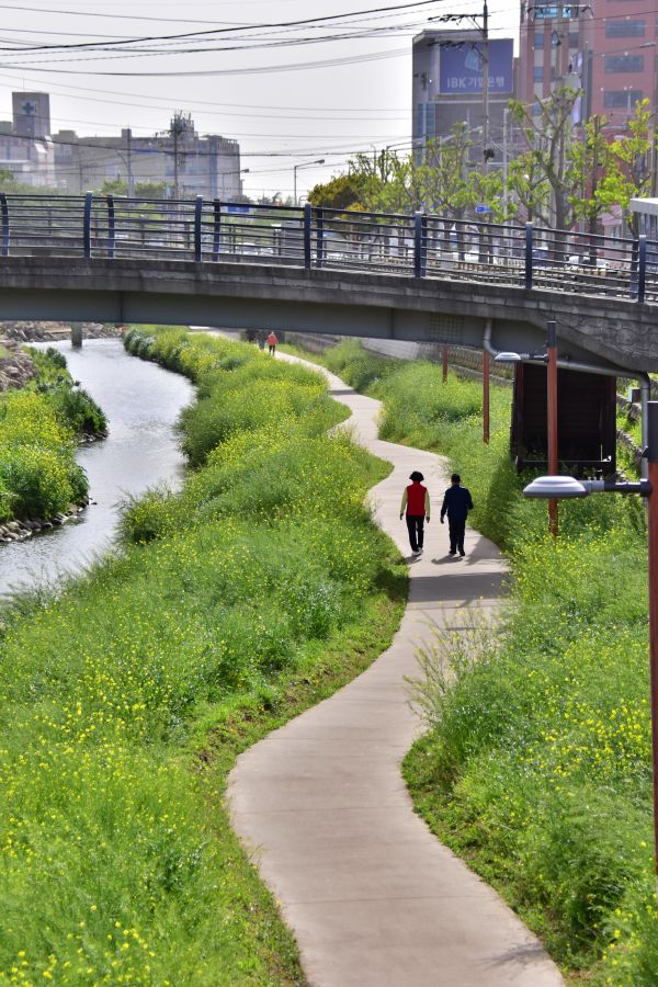 부산의 하천 학장천