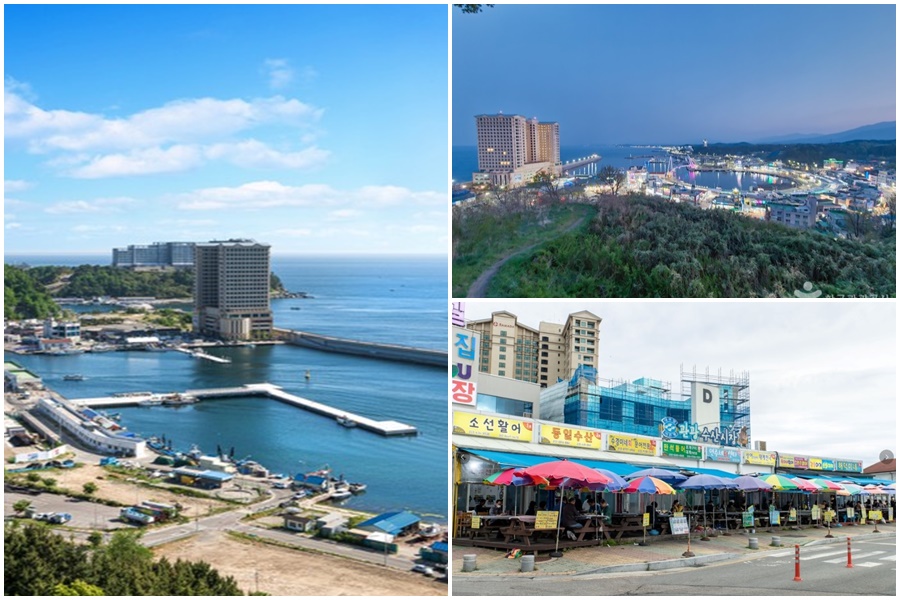 속초-가볼만한곳-베스트10-대포항