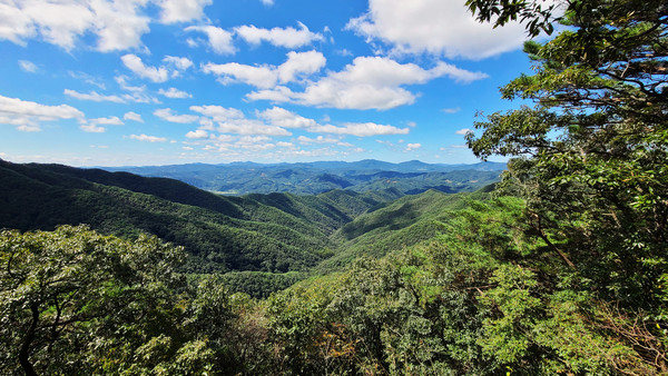 칠갑산 등산코스 지도