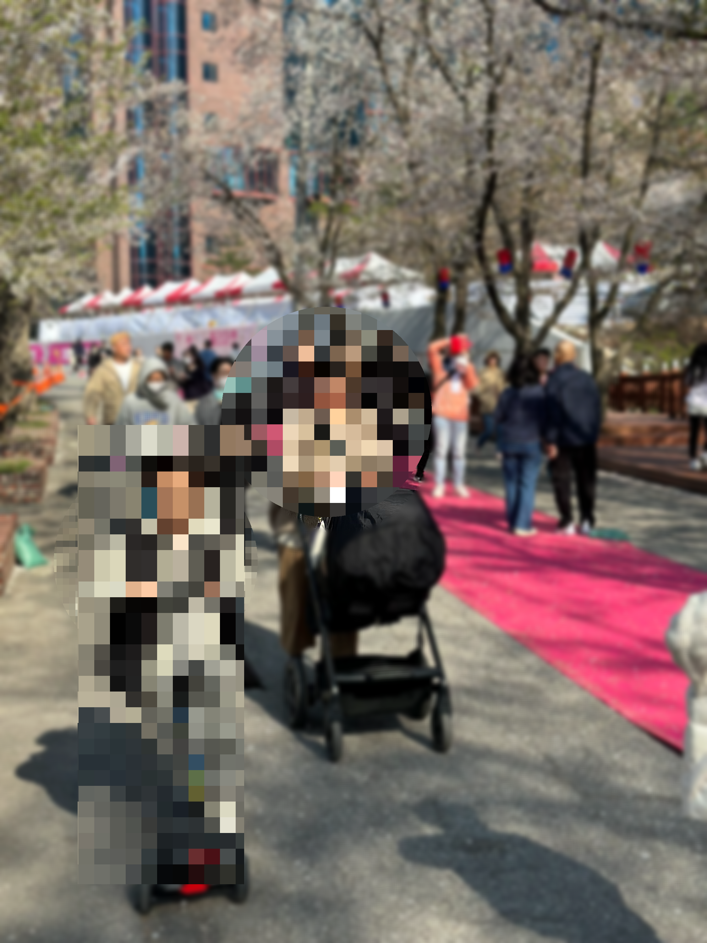 벚꽃 개화시기 2024 및 축제 일정