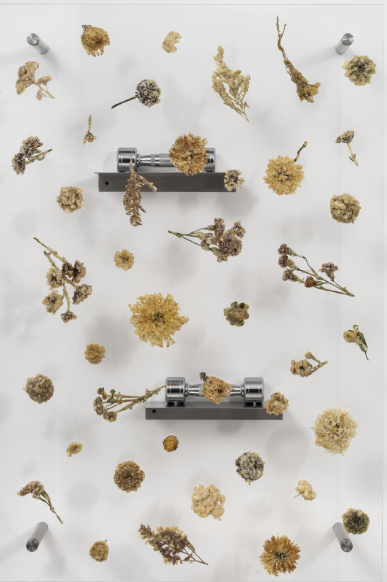 <후기 고전파 XVIII>, 2022, 덴푸라 꽃 튀김