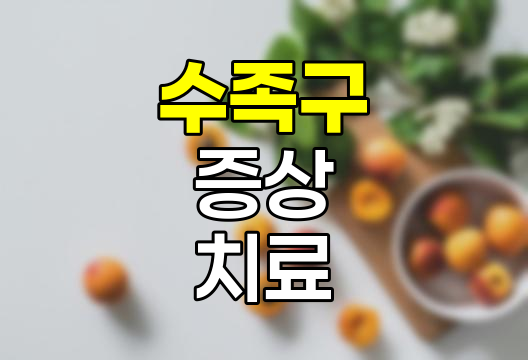 수족구 증상, 전염성, 잠복기, 치료 및 예방법 상세 가이드 관련 정보