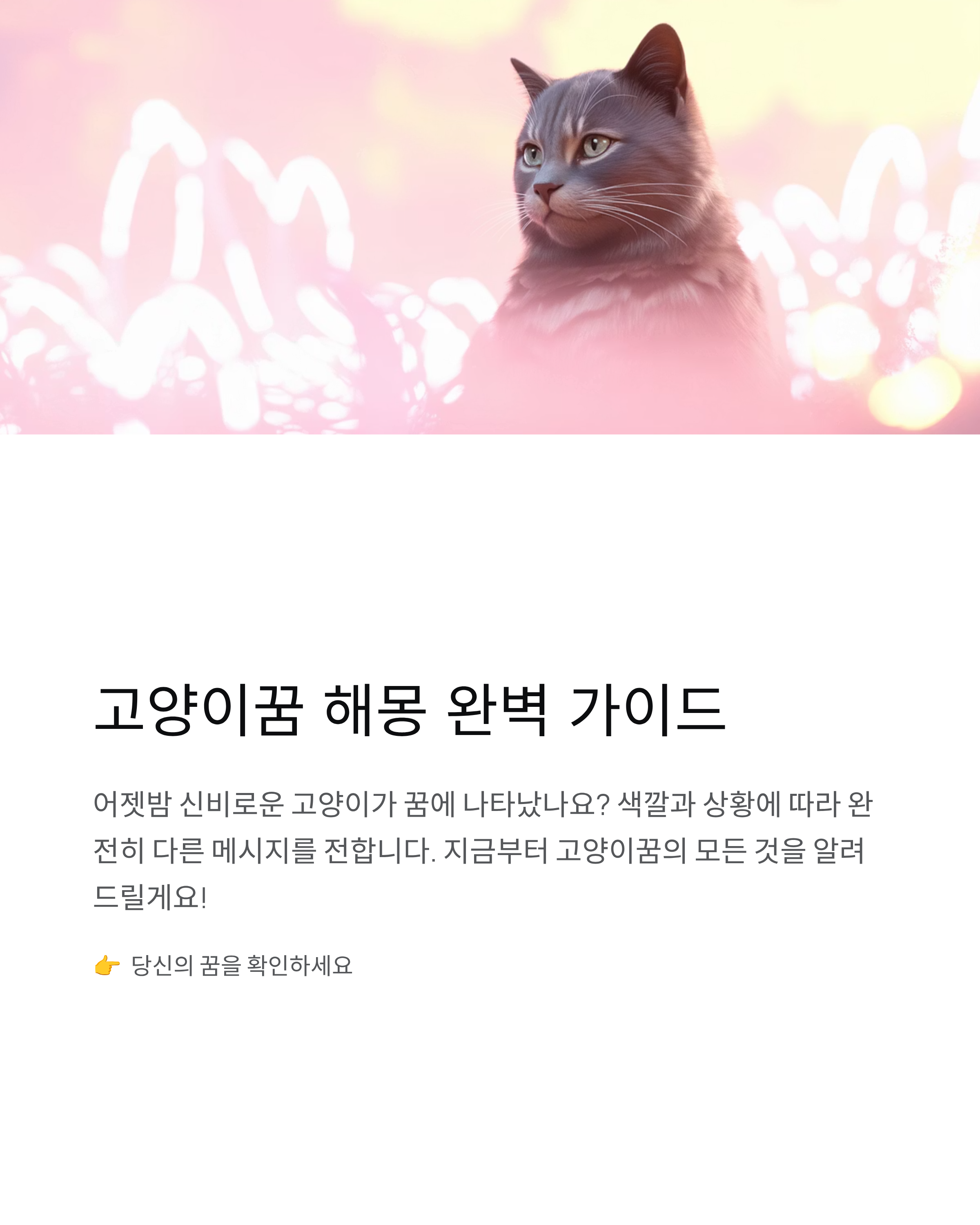 고양이꿈 해몽 완벽 가이드! 색깔별·상황별 의미 총정리