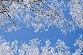 연금 안내 전화 조심! 국민연금공단이 밝힌 사기 유형 TOP5