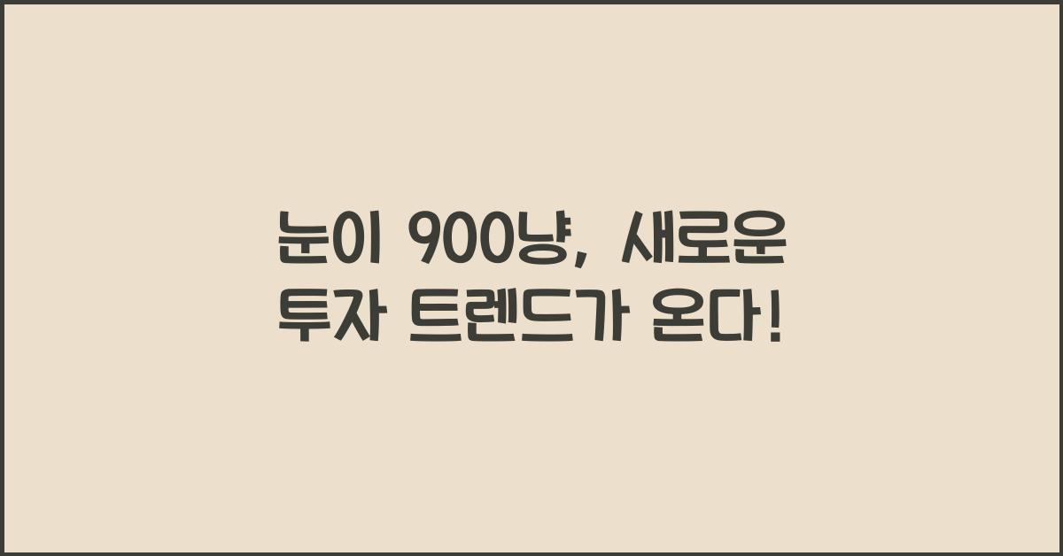 눈이 900냥