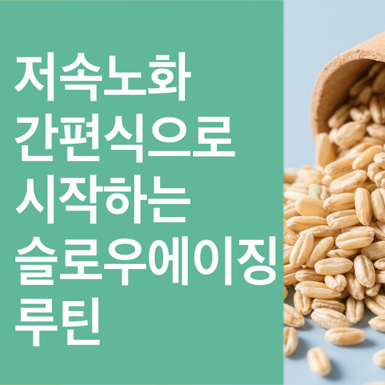 요즘 뜨는 저속노화 간편식 추천!