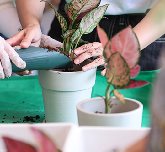 2025 서울국제정원박람회