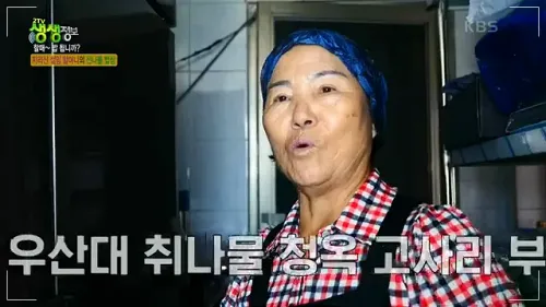 생생정보 남원 지리산 산나물 밥상 이층집 민박 철임 할머니 예약하기3