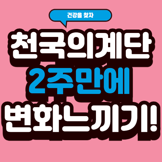 천국의 계단 다이어트, 2주 만에 변화를 느끼는 법