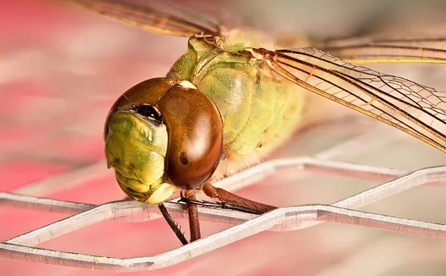 자리톡 월세환급 제도 2025 신청조건 신청방법 환급금 계산까지 절차정리_6