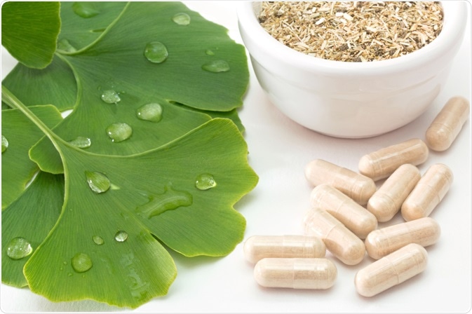 은행 Ginkgo biloba