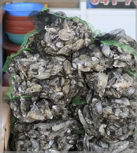 천북 굴 단지, 굴 축제_9