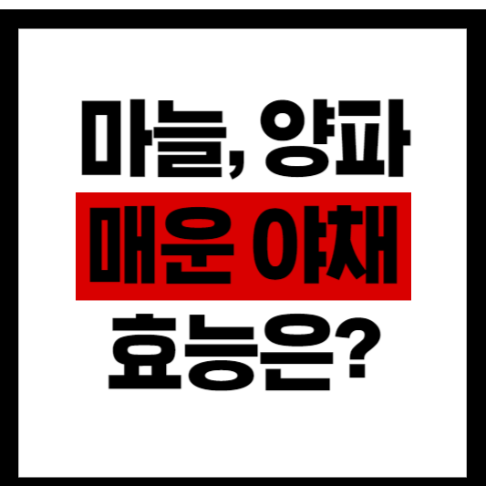 알리움 야채의 효능과 영양 성분 썸네일