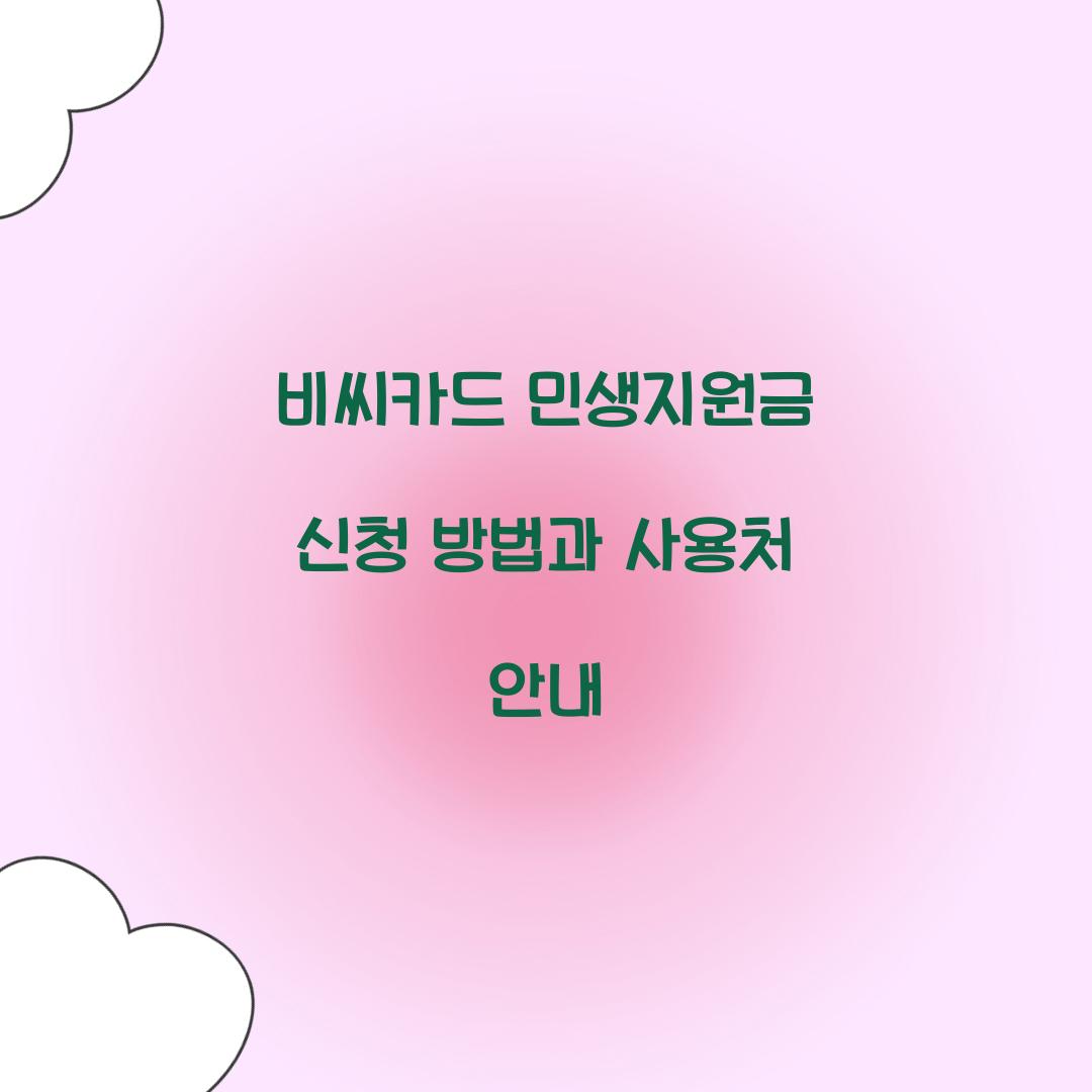 비씨카드 민생지원금