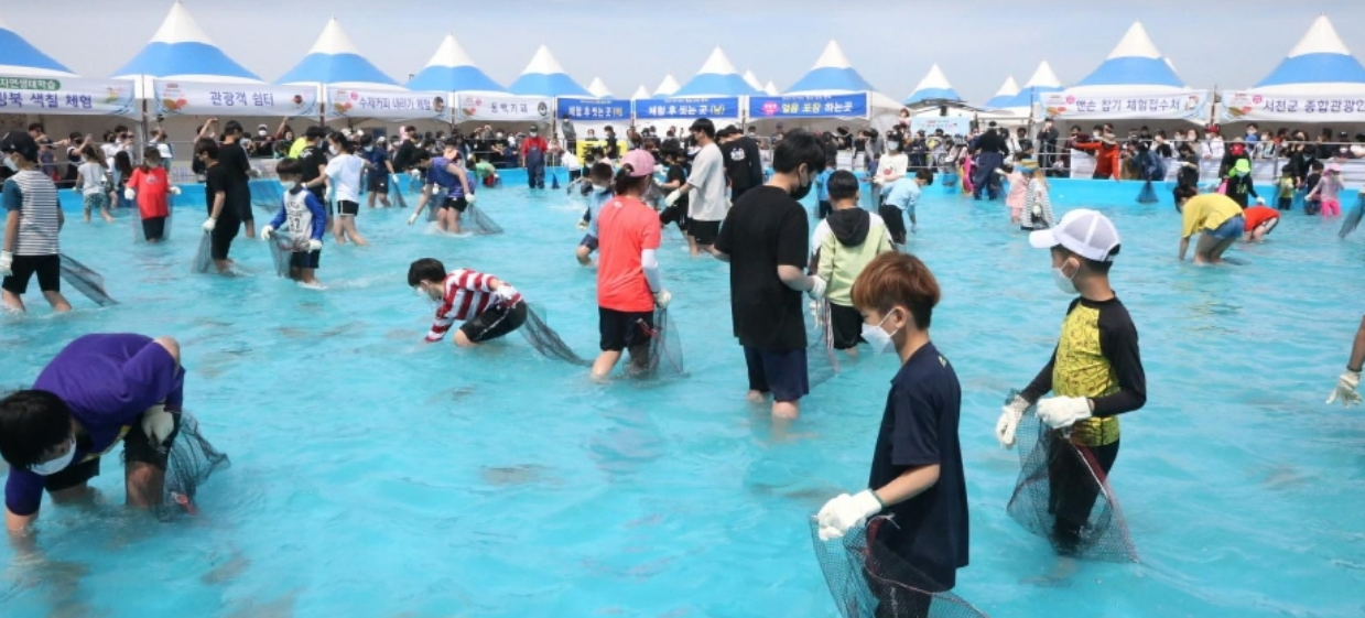 광어효능 도미효능 서천 자연산 광어 도미 축제
