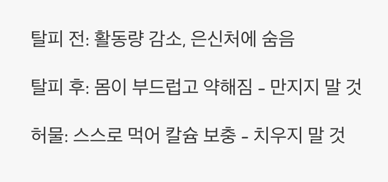 탈피, 가장 신비로운 순간