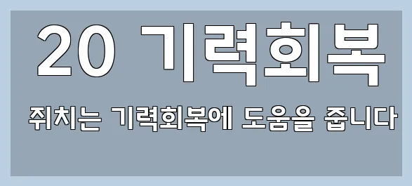  20 기력회복 쥐치는 기력회복에 도움을 줍니다