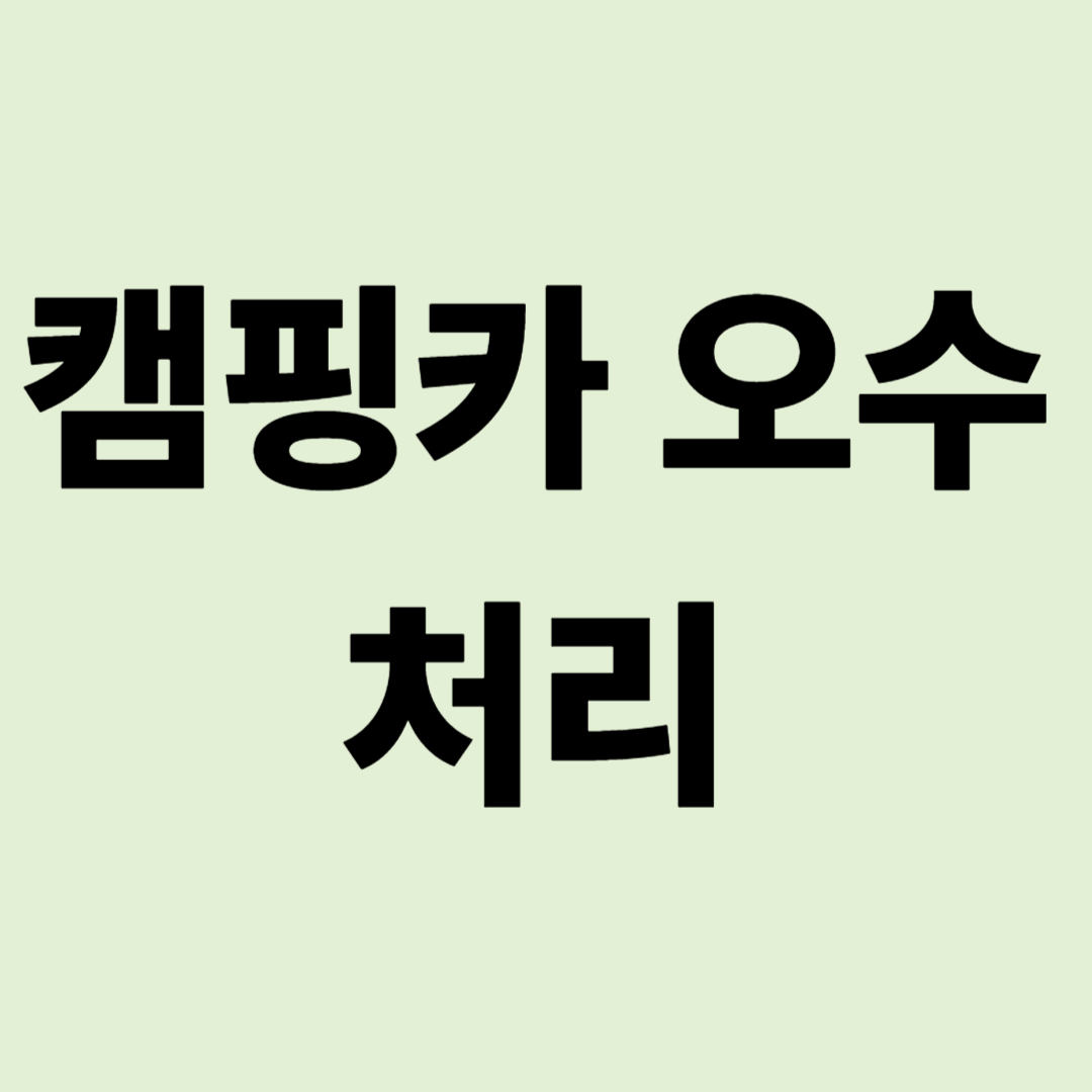 "이 물 어디에 버려요?" 캠핑카 오수 처리, 욕먹지 않는 완벽 가이드
