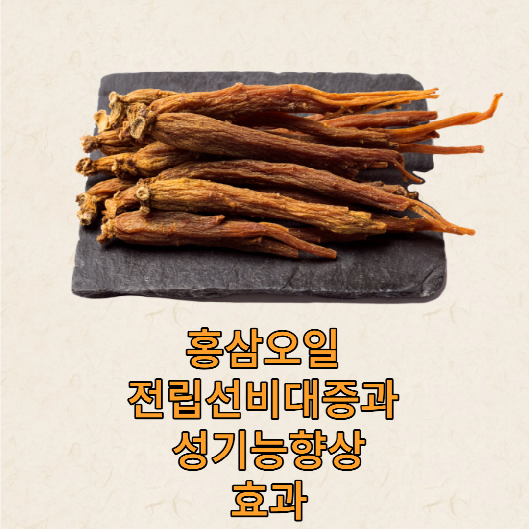 홍삼오일의 효능