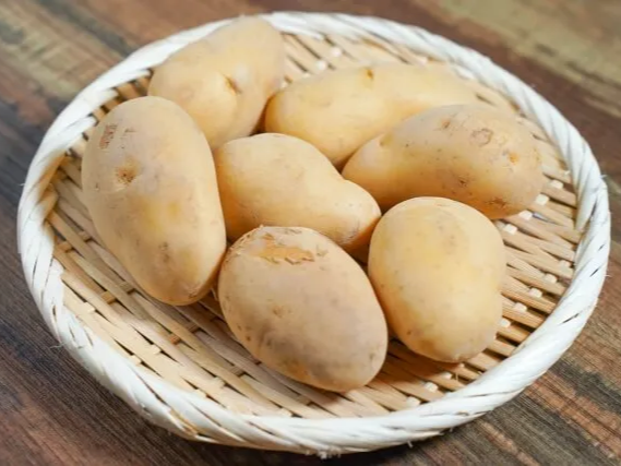 익힌 감자 보관 기간