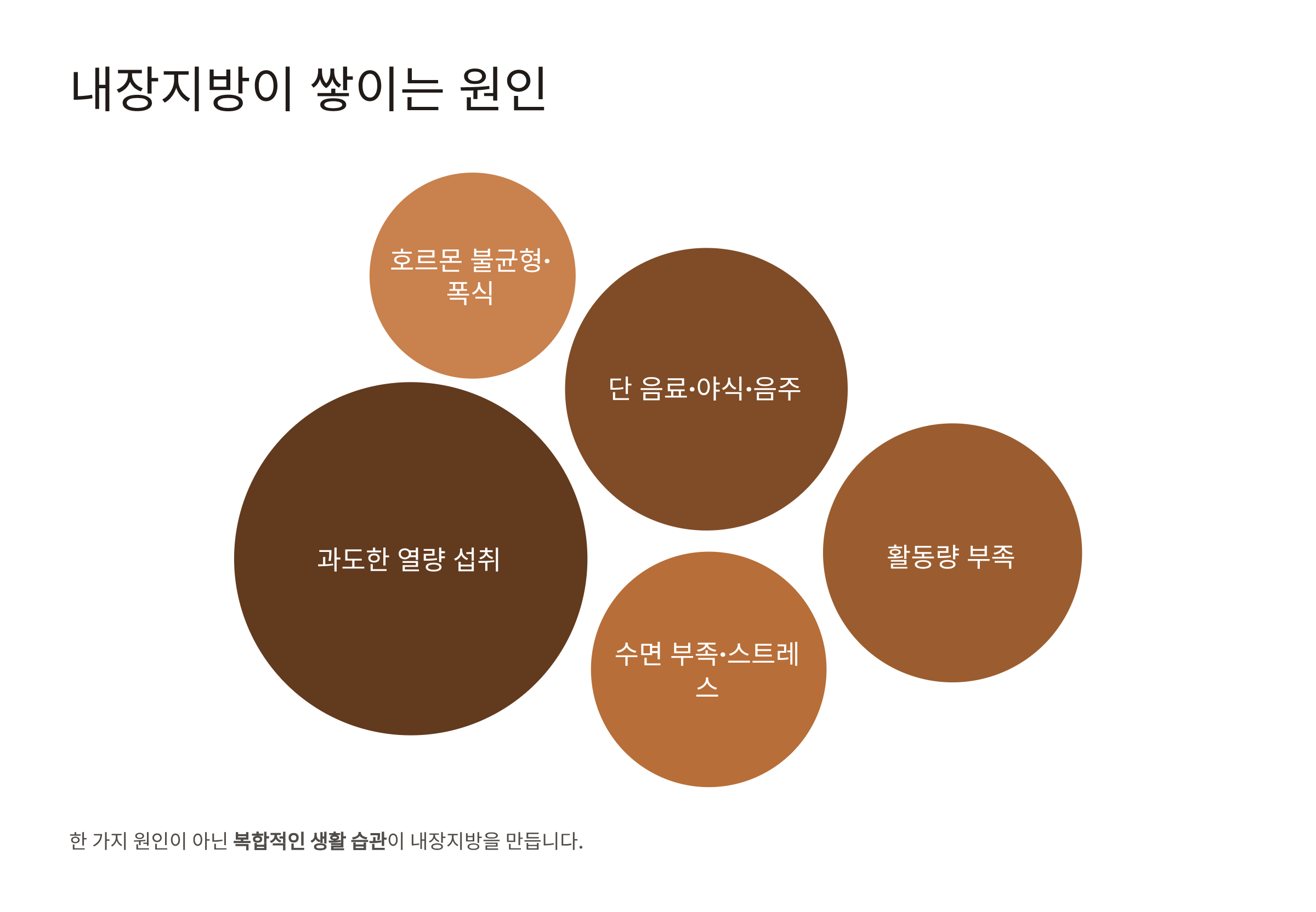 내장지방 빼는법